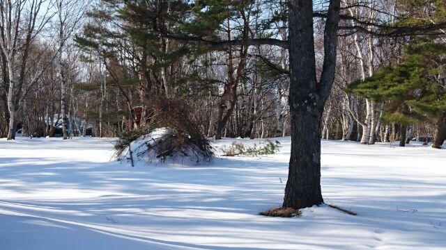 イヌイットの雪の家 イグルー作りと真冬のキャンプファイヤー ２月6日 土 と３月５日 土 一泊 予約開始しました 詳細です ソースリトリート時空の杜 そらのもり